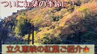 紅葉 立久恵峡の紅葉はいかが Youtube 紅葉 立久恵峡の紅葉はいかが Youtube