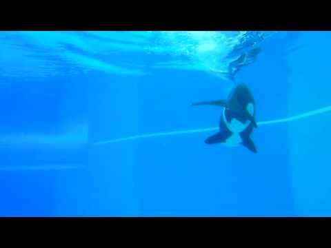 Marineland 2013 Niagara Falls 