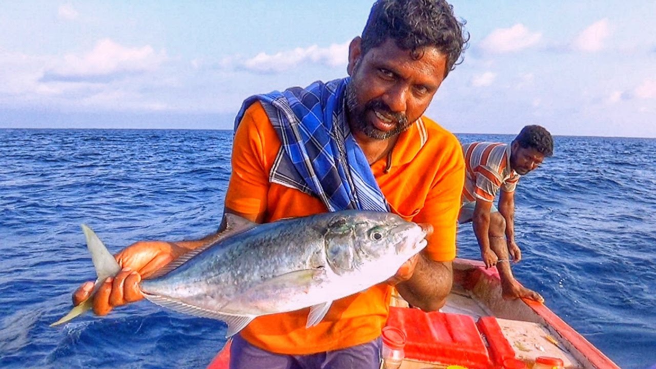 Amazing fish catching skill ! Catching Bludger Trevally Fish at deep