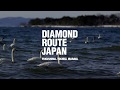 Birdwatching : Diamond Route Japan - Fukushima, Tochigi, Ibaraki |