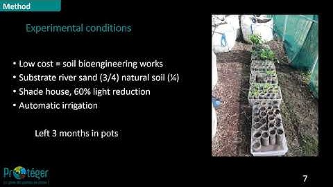 Mira E. lightning talk ATBC meeting 2021