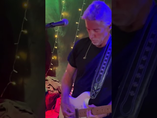 Creedence Clearwater Revival Born On The Bayou Ted Welty Band T.Rollin Sandbar Bar Capitola #ccr