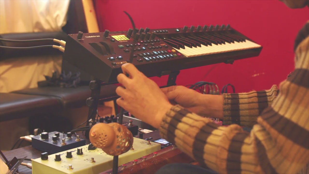 Danbau and Electronics (Cây trúc xinh 'Beautiful Bamboo')