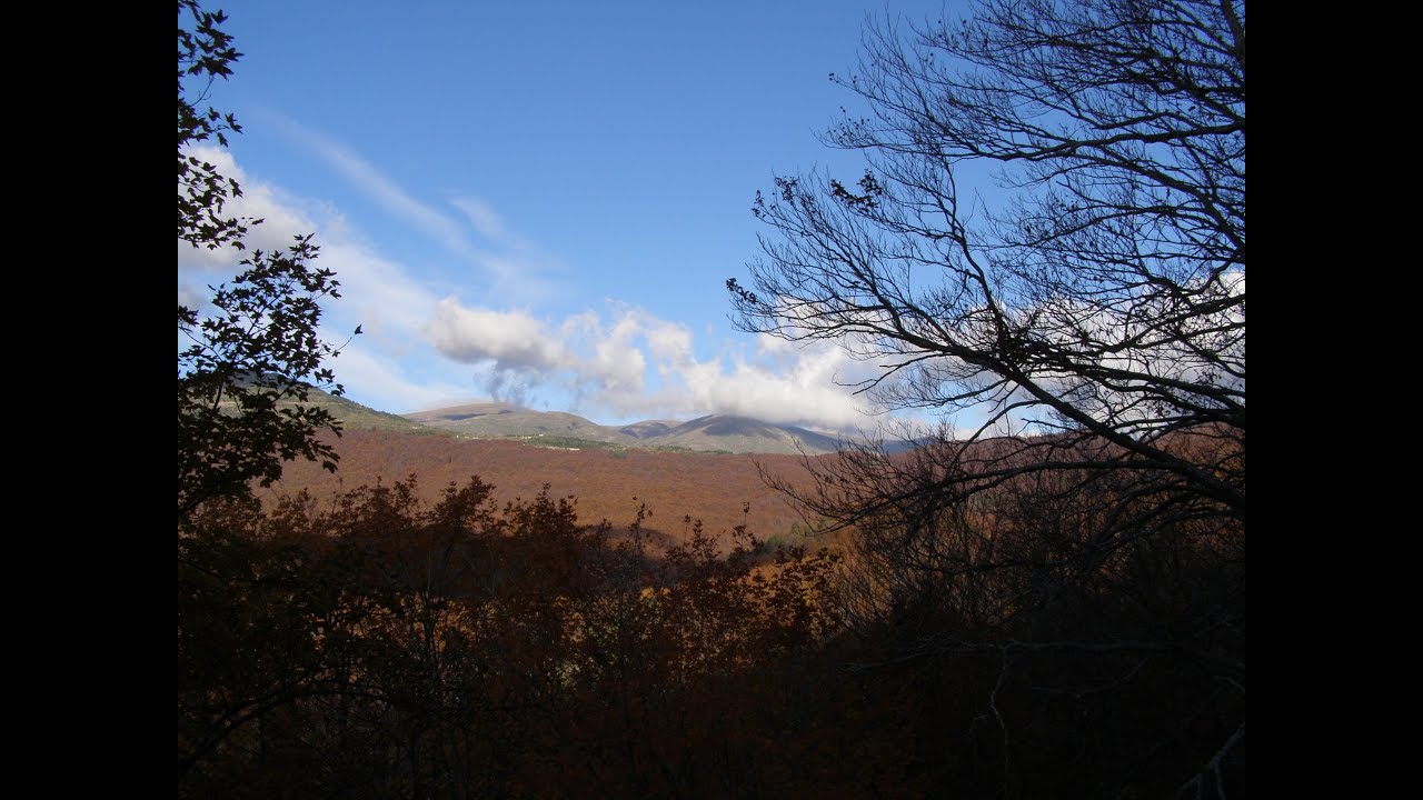 Fall Colors - YouTube