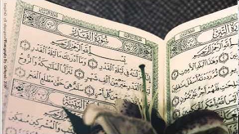 سورة فصلت وليد الدليمي قراءة عراقية
