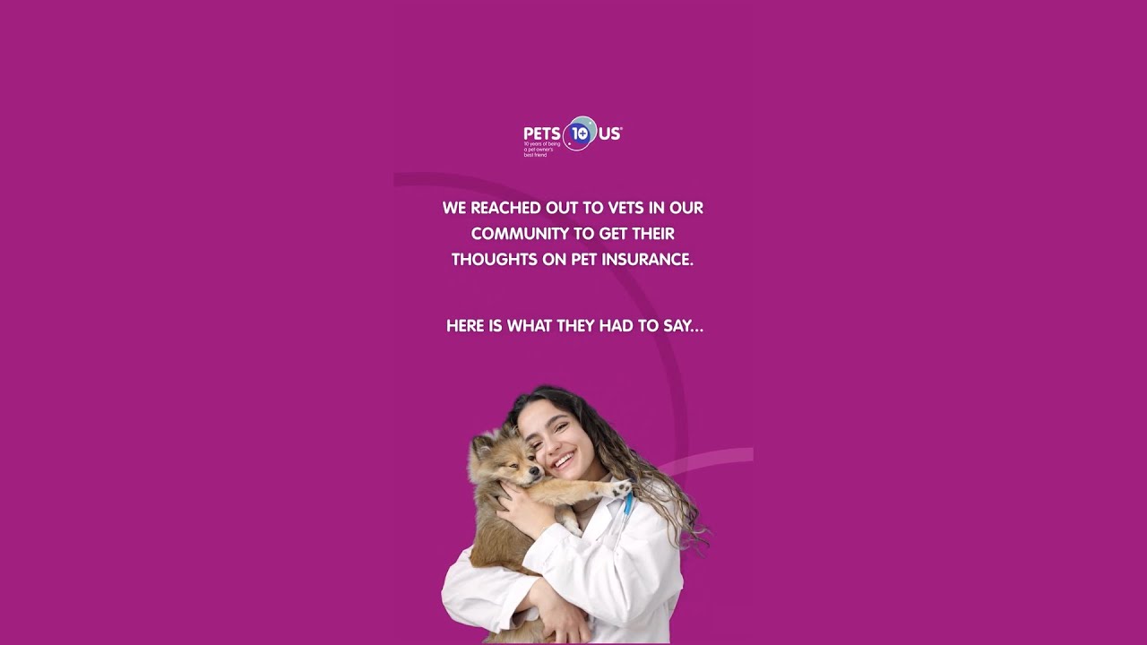 What do vets think about pet insurance? YouTube