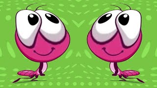 Bob Zoom Completo Momentos Divertidos De Brincar E Aprender Sponsored By Preview 2 Effects