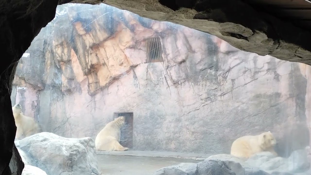 퇴근을 기다리는 엄마(Pola)와 아이들(Umi&Sora)