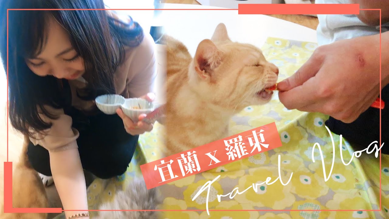 去貓咪咖啡廳被貓包圍 宜蘭x羅東Day1 | 東台灣環島Vlog#01