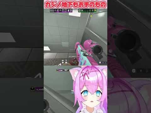 カジノ地下もお手のもの #r6s #vtuber #rainbowsixseige #シージ