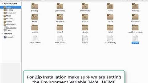 Oracle JDK 10 Zip Installation in Debian 9.4 | Java SE 10