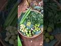 இன்றைய நாள் இனிய நாள் 😄Harvest of the & Meal of the day.#nature #healthylifestyle #shorts
