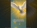 ¿Conocías el Milagro Eucarístico de Patierno, en Nápoles, Italia?#PresenciaReal #MilagroEucaristico