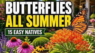 Too Lazy to Garden? These 15 Native Perennials Build a Butterfly Haven