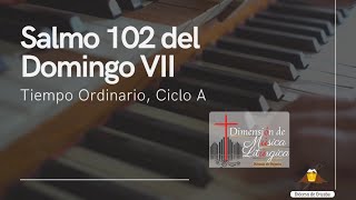 Salmo 102 del Domingo VII del Tiempo Ordinario, Ciclo A