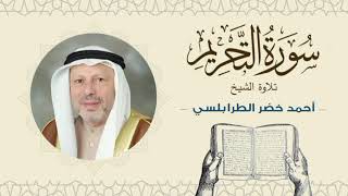 الشيخ أحمد خضر الطرابلسي سورة التحريم- القرآن الكريم بجودة عالية Sheikh Ahmed Khader Al-Tarabulsi