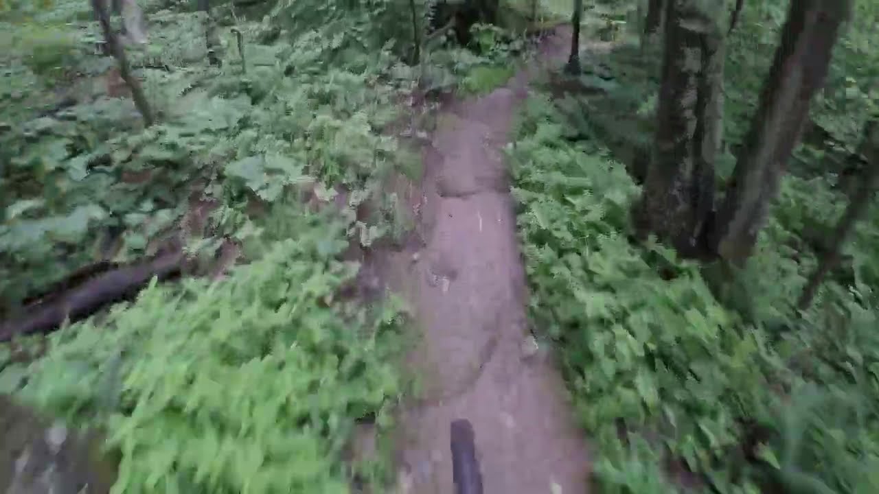 Saxon Hill - Downhill run