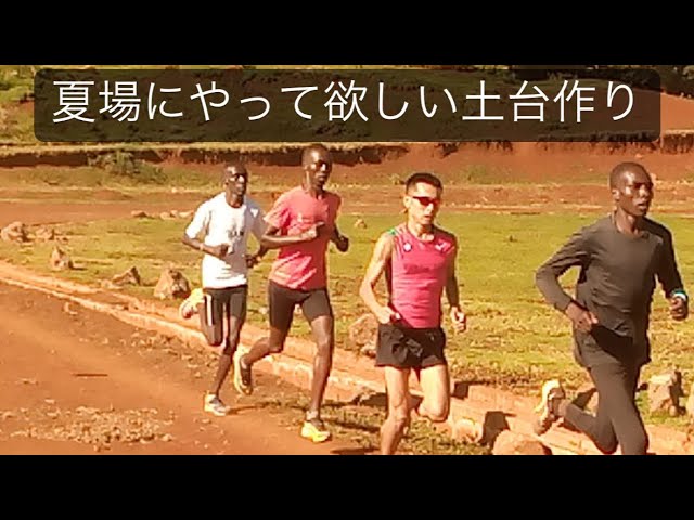 秋から冬にかけて大幅にハーフマラソンやマラソンの記録を伸ばしたい方に絶対に夏場にやって欲しいこと