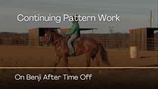 Continuing Pattern Work with Benji After Time Off