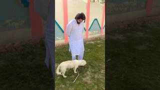 Playing With