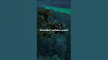فضل القرآن الكريم علينا اسمع للآخر #المصحف #قرآن #توبة #اكسبلور #لايك #قرآن_كريم