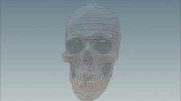 Houdini - Slice Scull Scan (scene file)