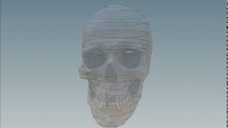 Houdini - Slice Scull Scan (scene file)