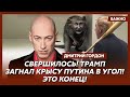 Гордон. Сенсация! 20 октября Си уберут! Путин в истерике!