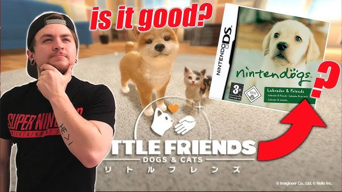 Is it Worth the Price?, Little Friends Puppy Island Review