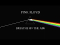 Breathe (In The Air) - Pink Floyd - Bass Cover