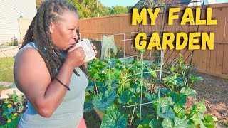 Fall Garden (August 2025)