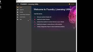 Installing Node-Locked Licenses