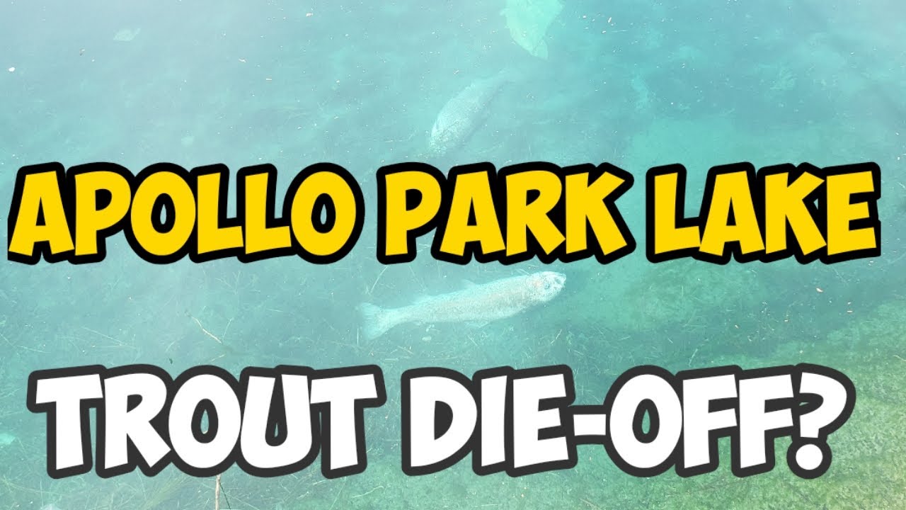 Apollo Park Lake Trout Die Off?
