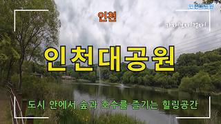 인천대공원 어울큰마당 영상