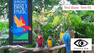 Bird Show, Part-02 at Jurong Bird Park (Pools Amphitheatre), Singapore ??