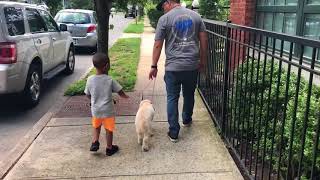 K9 Training w Byron - the Introduction
