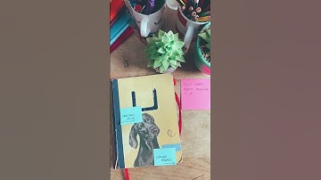 Journaling tips for writers. #writingjournal #journal #journaling