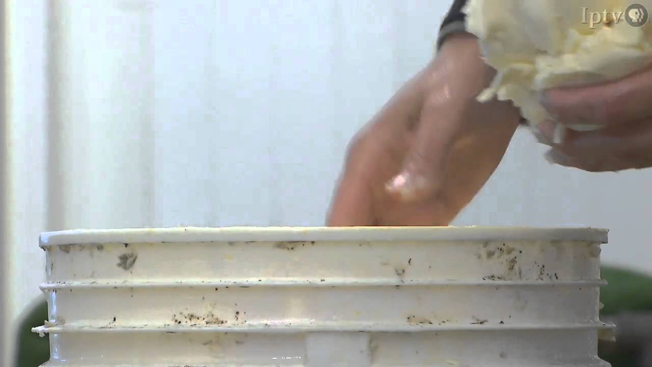 Butter Cow Carving Iowa State Fair 2010 YouTube