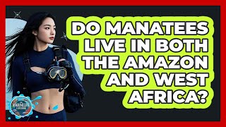 Do Manatees Live in Both the Amazon and West Africa?