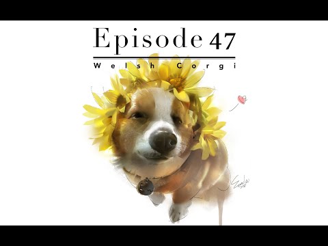 Episode 47 Welsh Corgi