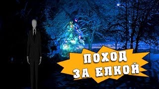 Как вырубить новогоднюю елку