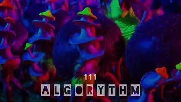 111 - ALGORYTHM