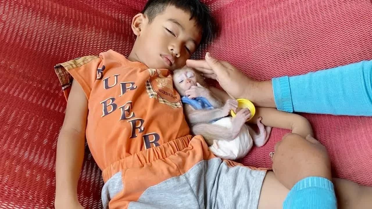 Appealing BB DAM & Bro Hour Was Asleep Together On Hammock