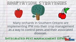 southern ontario orchards