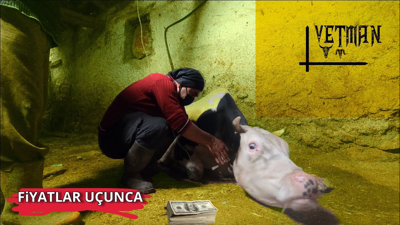 FİYAT ARTIŞLARINA ALIŞMAK