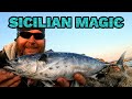 Fishing for pelagics in sicily