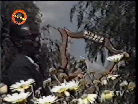 ከተማ መኮንን ትዝታ Ketema Mekonnen Tizta