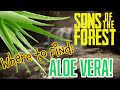 aloe vera cream for skin Ftune Aloe Vera Gel – ftune.in main image 1