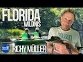 🐊 Alligatoren, Delfine & Manatees – Richy Müller erkundet Floridas Tierwelt hautnah!