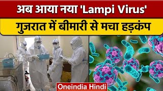 Lampi Virus Outbreak: Gujarat में लंपी वायरस से हड़कंप, चपेट में आए हजारों.. | वनइंडिया हिंदी *News